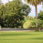 Era & Roy November 2025 (6)